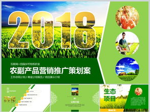 2018互聯(lián)網(wǎng)+農(nóng)副產(chǎn)品市場推廣企業(yè)營銷策劃案